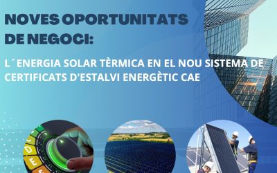 NUEVAS OPORTUNIDADES DE NEGOCIO: ENERGíA SOLAR TÉRMICA EN EL SISTEMA CAE